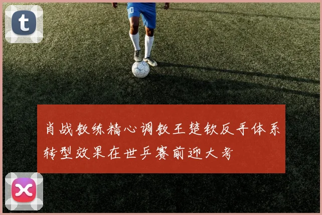 肖战教练精心调教王楚钦反手体系转型效果在世乒赛前迎大考