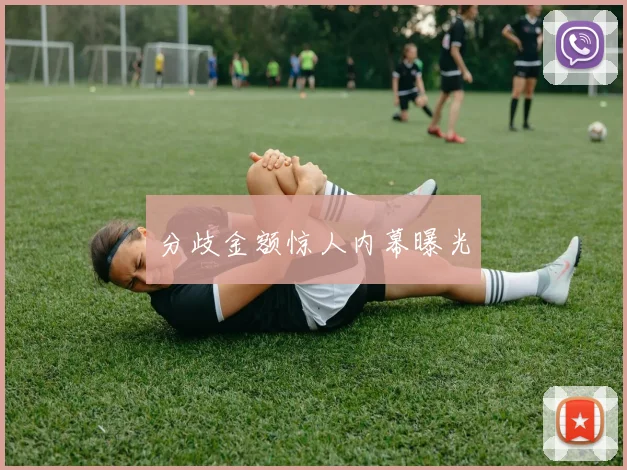 分歧金额惊人内幕曝光